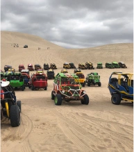 Dune Buggy rides